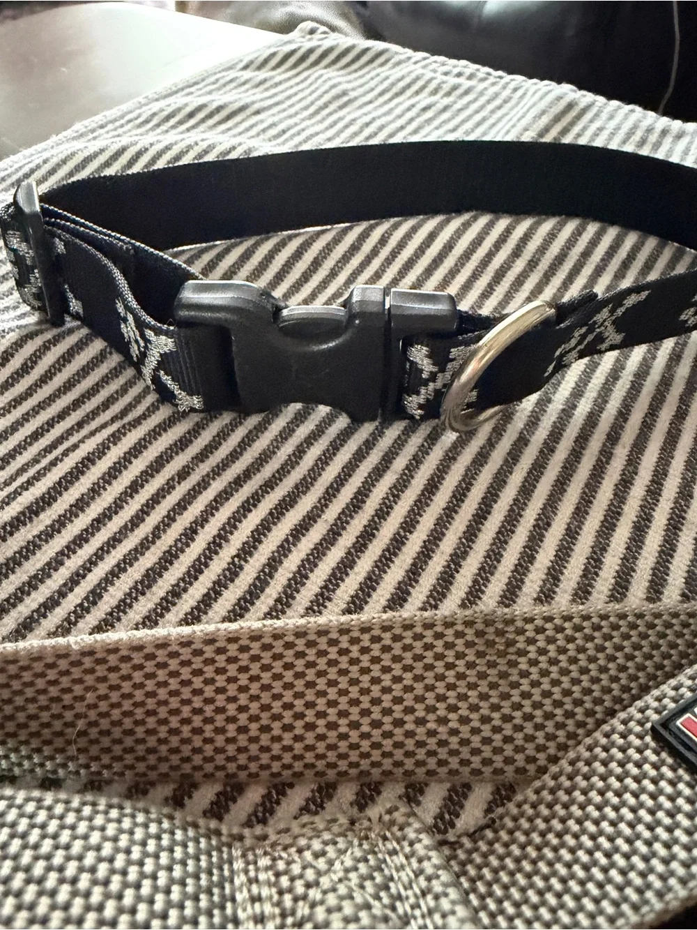 B2G1 FREE KONG Gray Reflective Dog Leash + Lupine Paw Print Collar Set